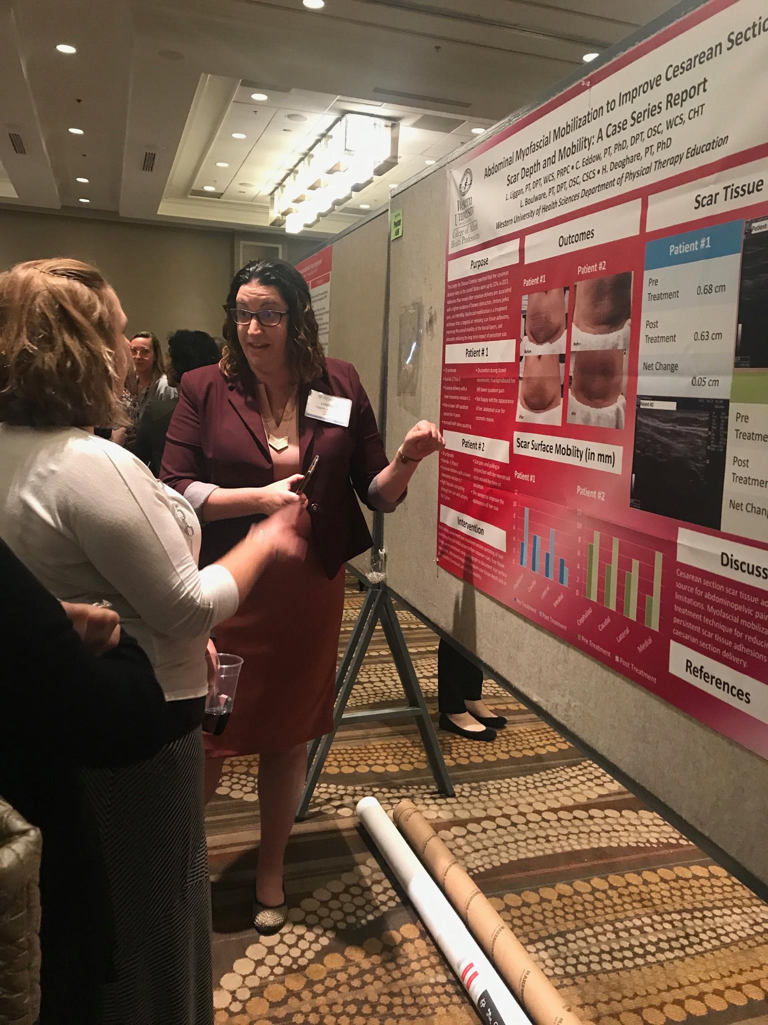 Lindsey's CSM Poster