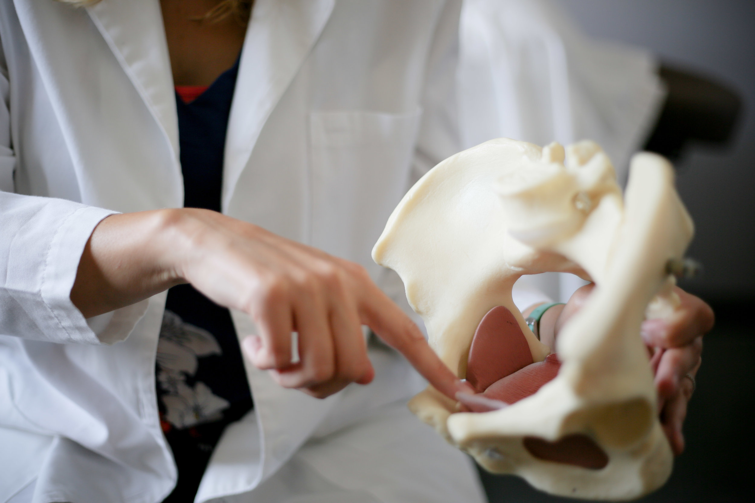 5 essential functions of the pelvic floor