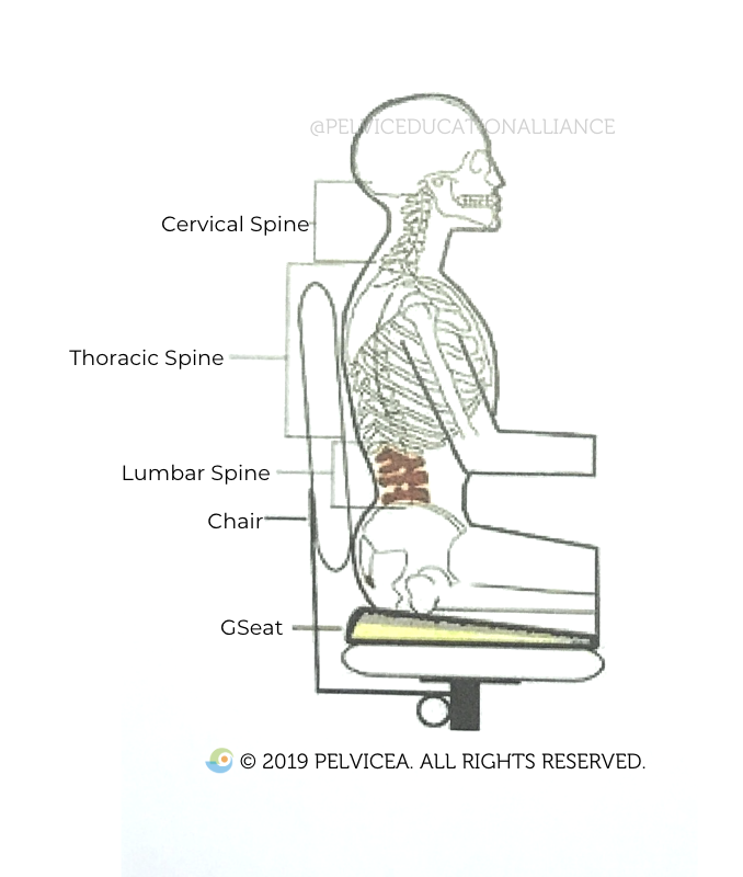 Spending prolonged time in one position (i.e. SITTING on a long flight, long car ride, sitting day in and out at work in 1 position) can contribute to “unhappy nerves,”