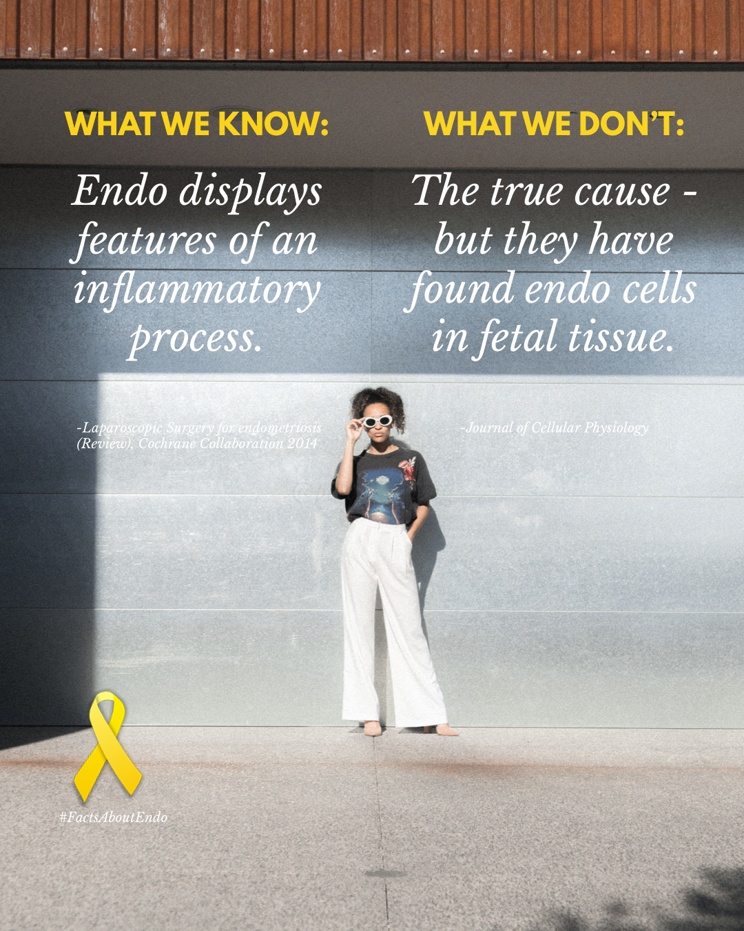 New research in the true cause of endometriosis
