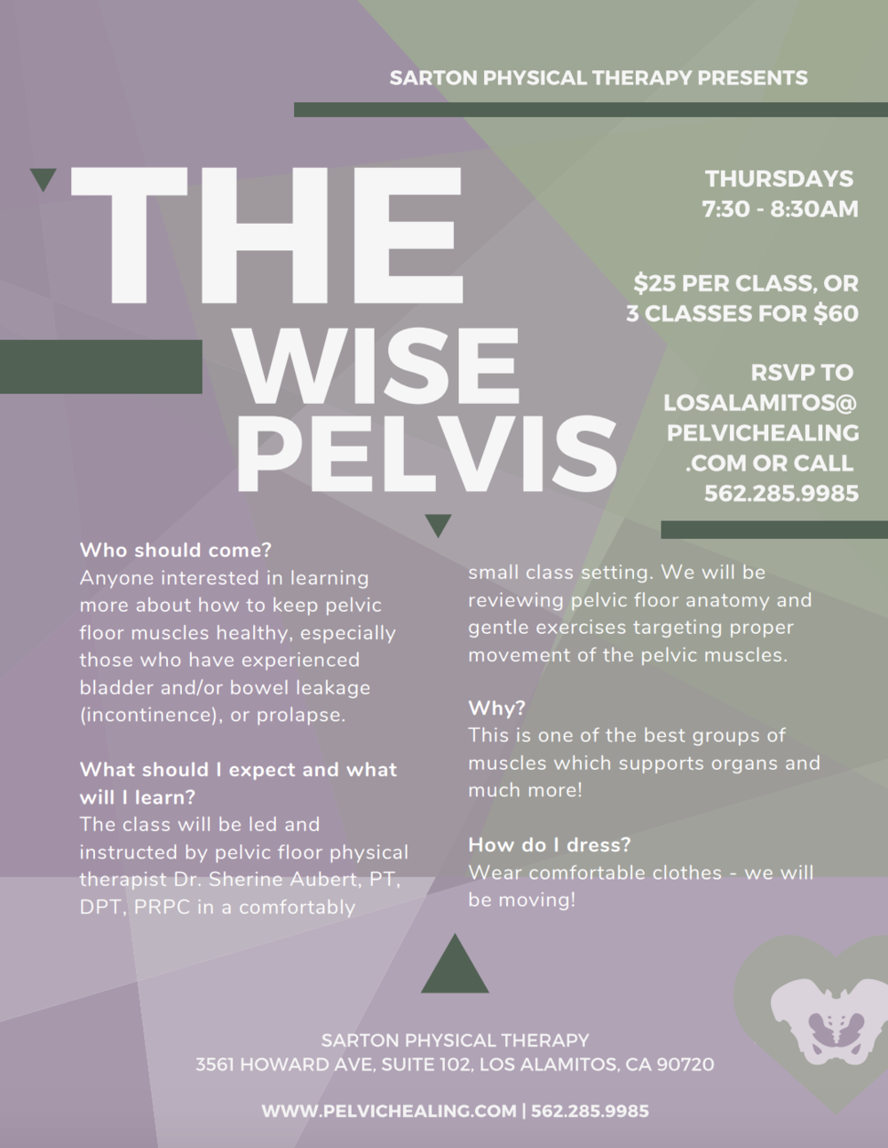 The Wise Pelvis | intro to pelvic floor | What is the pelvic floor? | Sarton Physical Therapy, Pelvic Healing