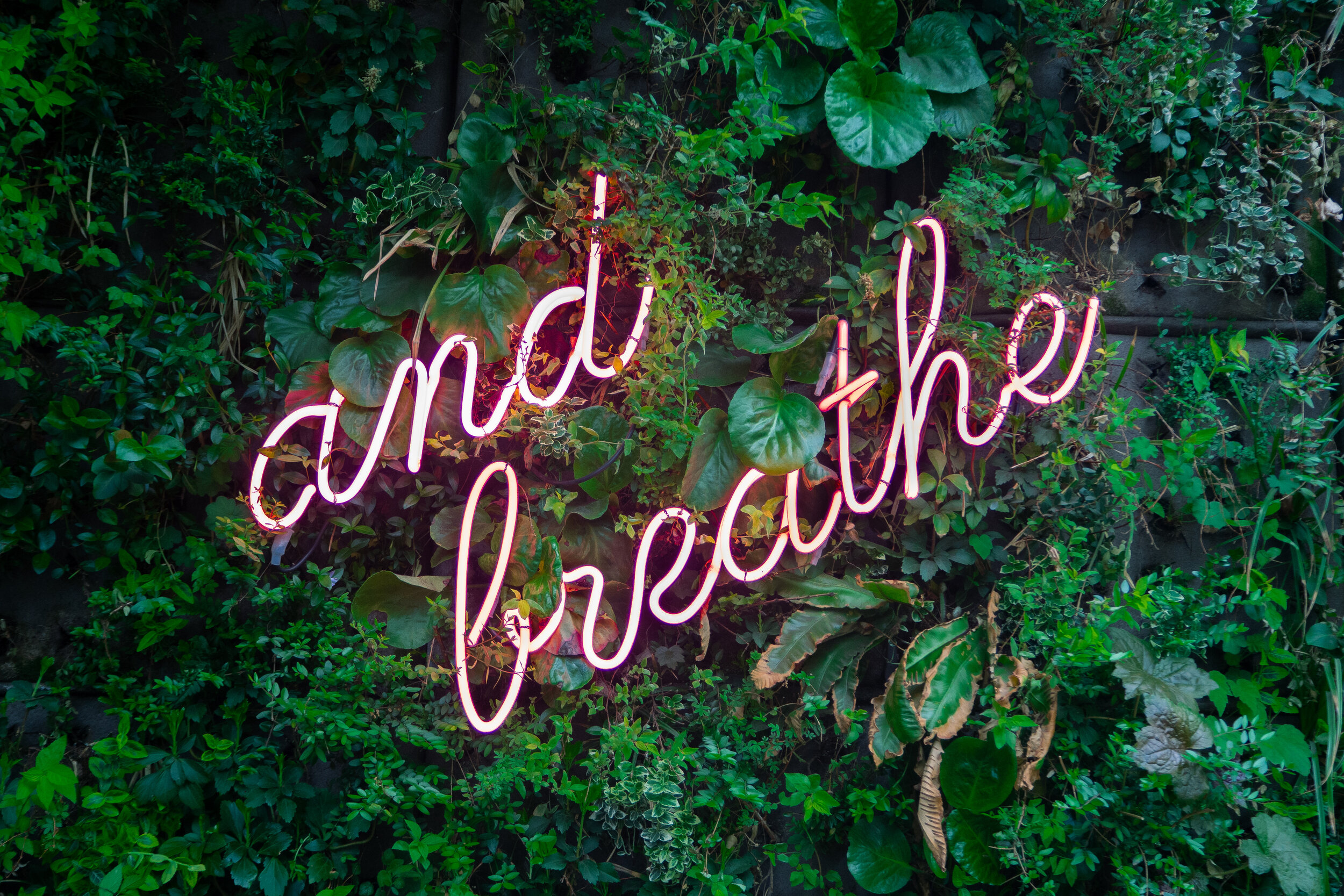 diaphragmatic breathing exercise - techniques and benefits from a pelvic floor perspective