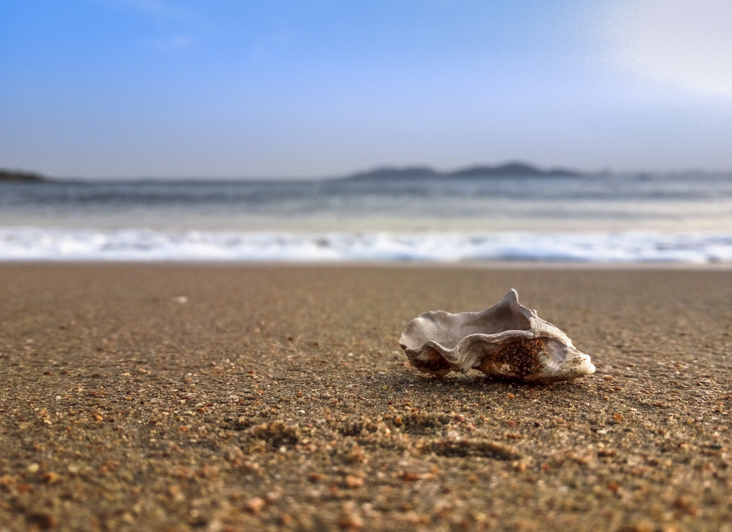 persistent pelvic pain help - orange county pelvic floor physical therapy experts