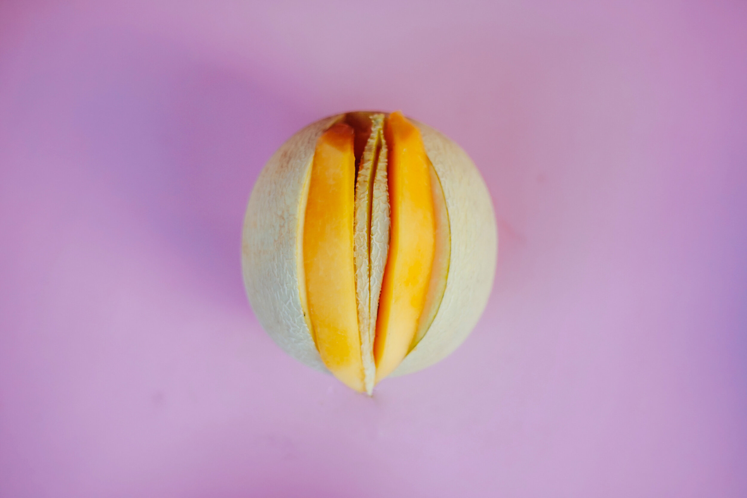 the vaginal vestibule | anatomy, purpose and breakdown